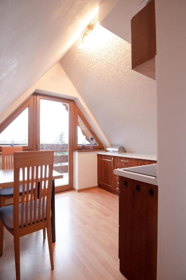 Golden Apartments Zakopane- One Bedroom Apartment - Mountain View&B14 Extérieur photo