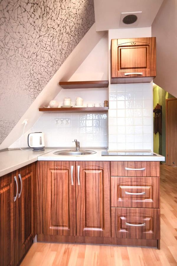 Golden Apartments Zakopane- One Bedroom Apartment - Mountain View&B14 Extérieur photo